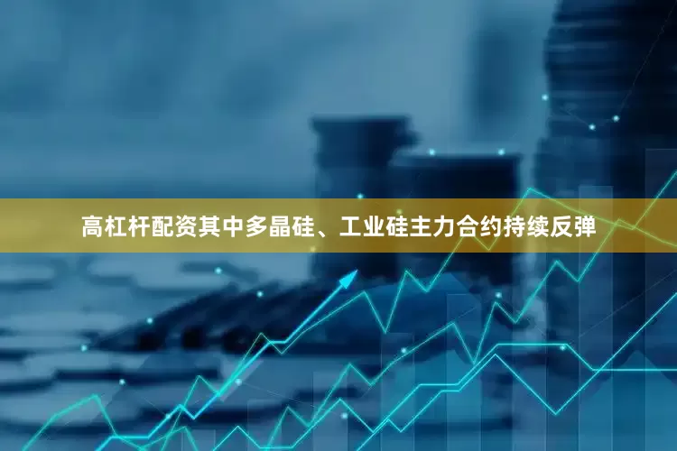 高杠杆配资其中多晶硅、工业硅主力合约持续反弹
